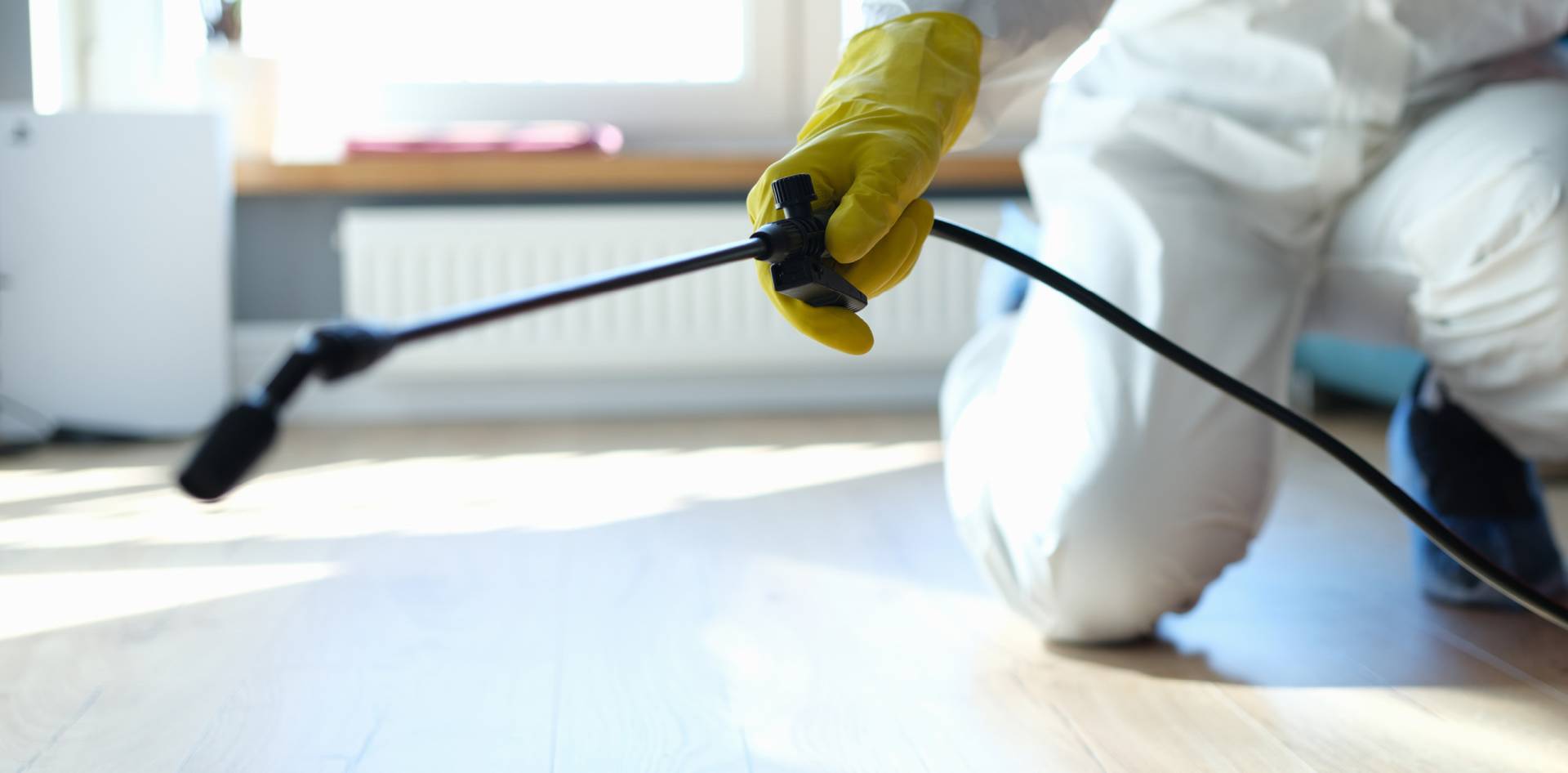 Schädlingsbekämpfer behandelt einen Innenraum