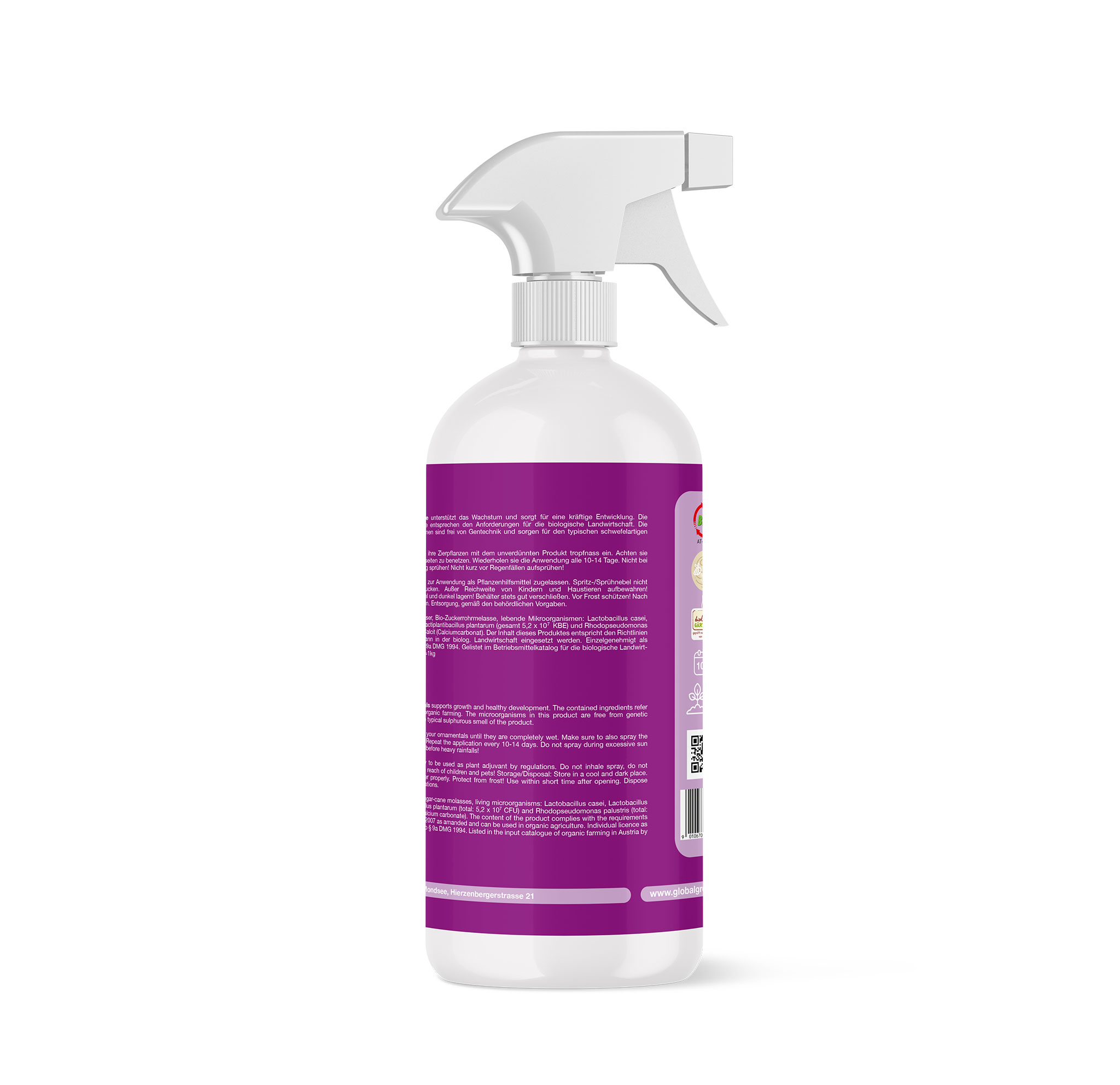 Zierpflanze – Pesttech Shop